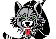 Chicago-Wolves