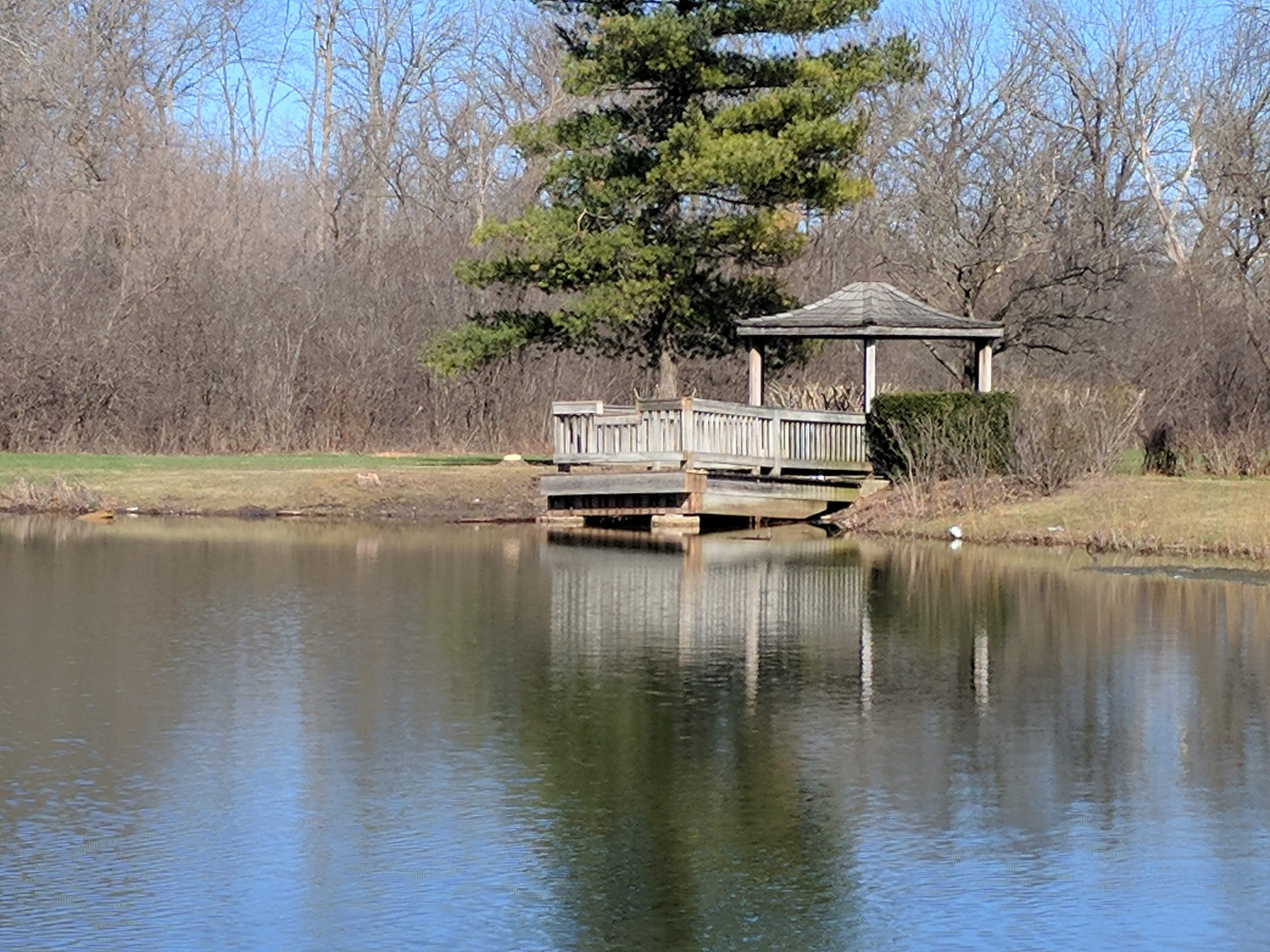 Removal of Fishing Deck and Gazebo at Danny Cunniff Park District of